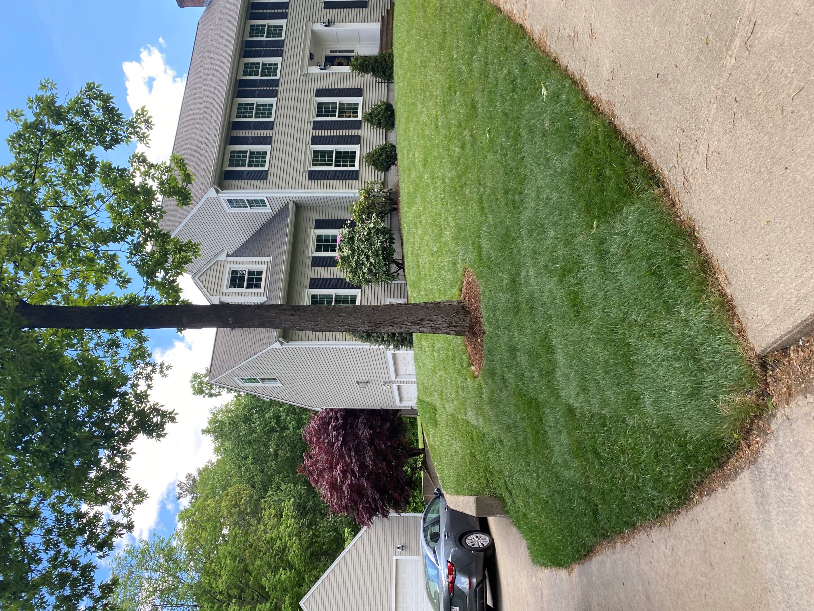 Residential landscaping completed project
