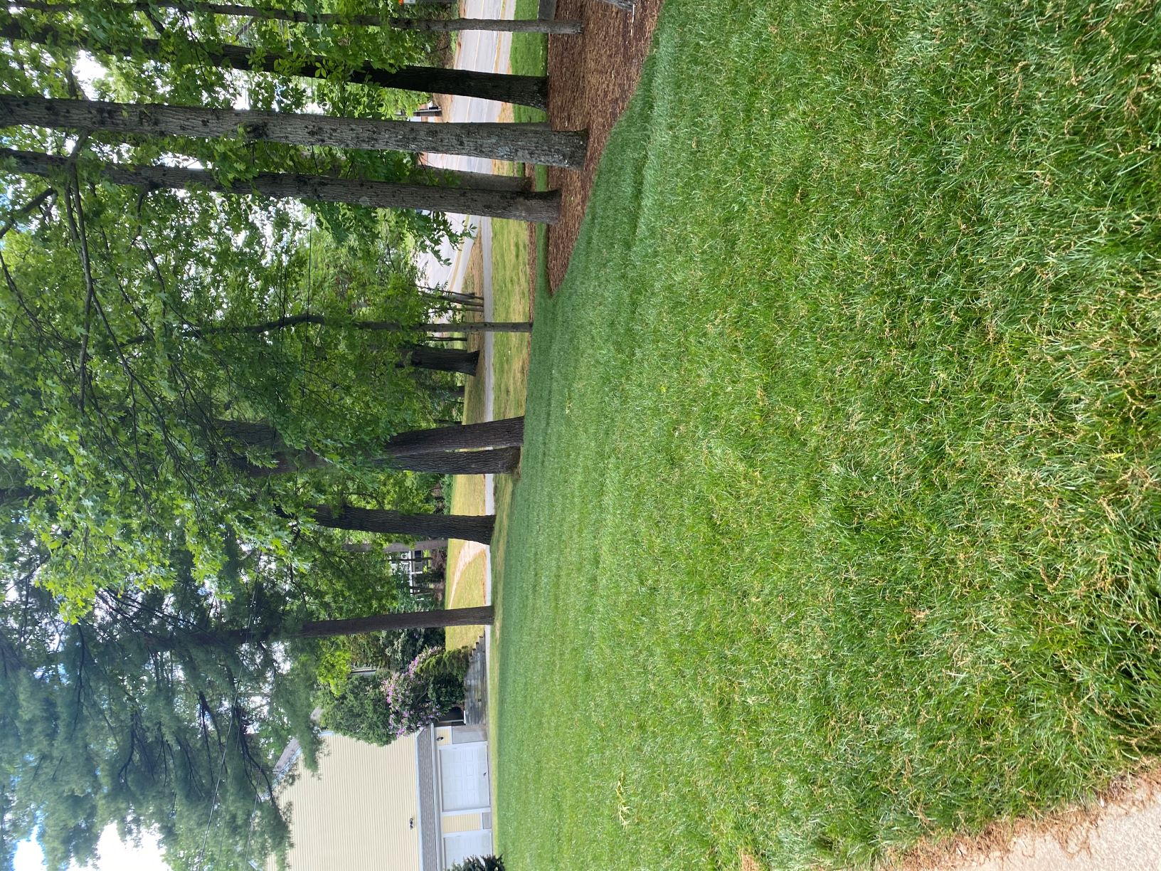 Residential lawn maintenance
