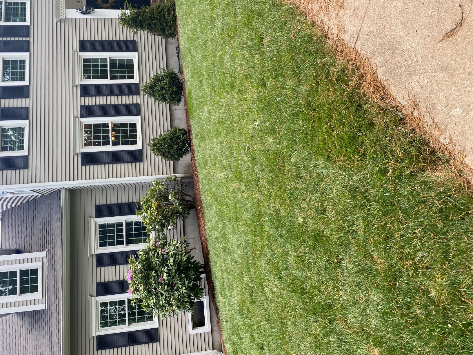Residential landscaping transformation