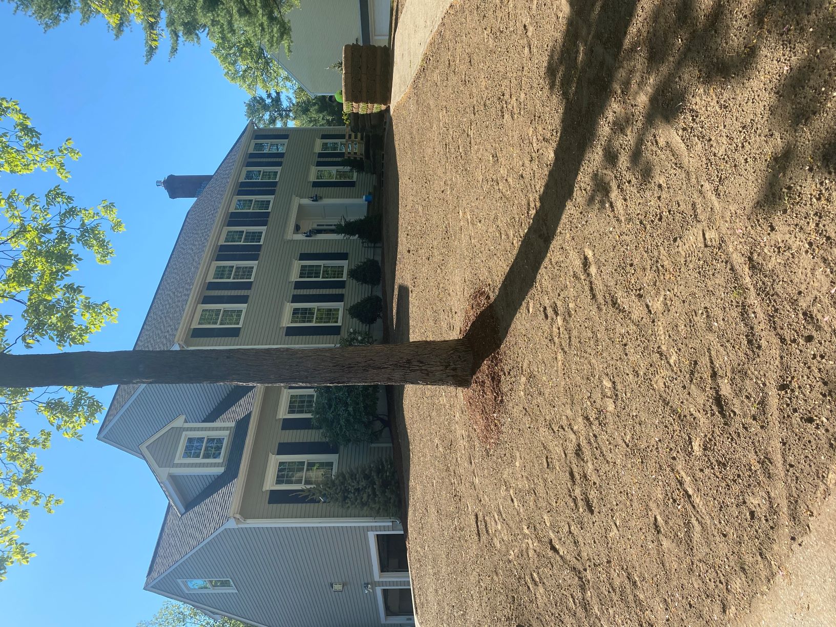Before landscaping service